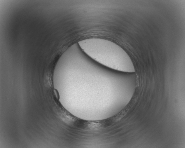 X0000073850718200608171033