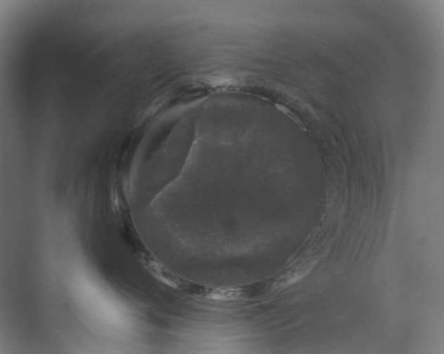 X0000073850720200608171033