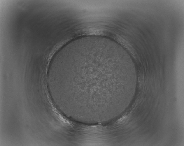 X0000073850721200608171032