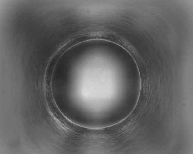 X0000073850722200608171032