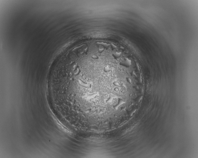 X0000073850725200608171032