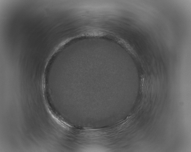 X0000073850726200608171032