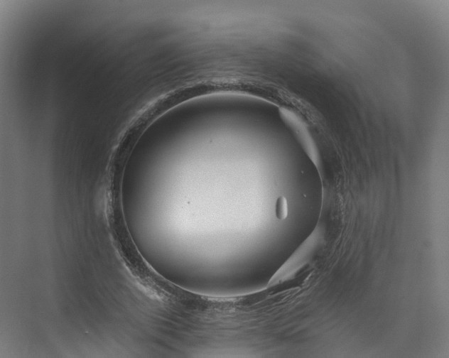 X0000073850728200608171032