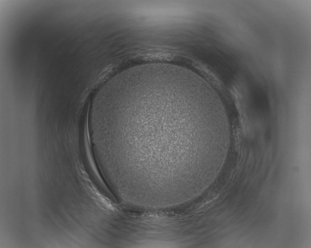 X0000073850729200608171032