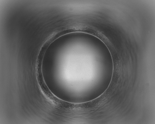 X0000073850730200608171032