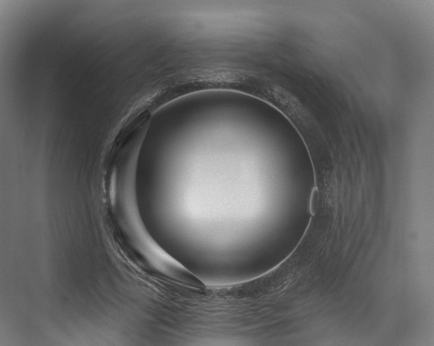 X0000073850731200608171032