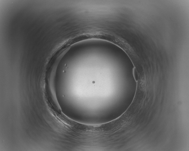 X0000073850732200608171032