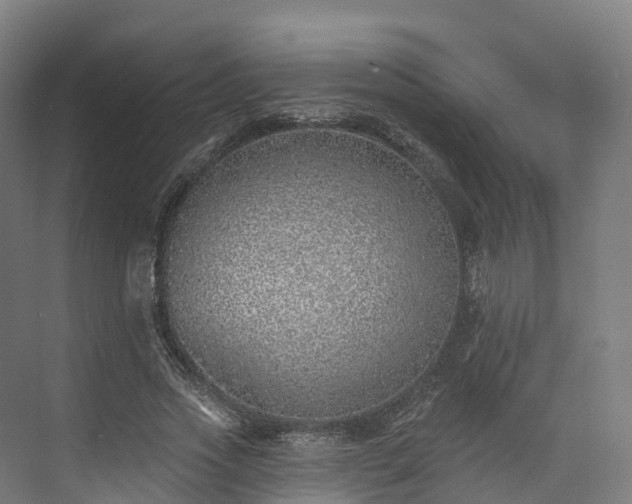 X0000073850733200608171032