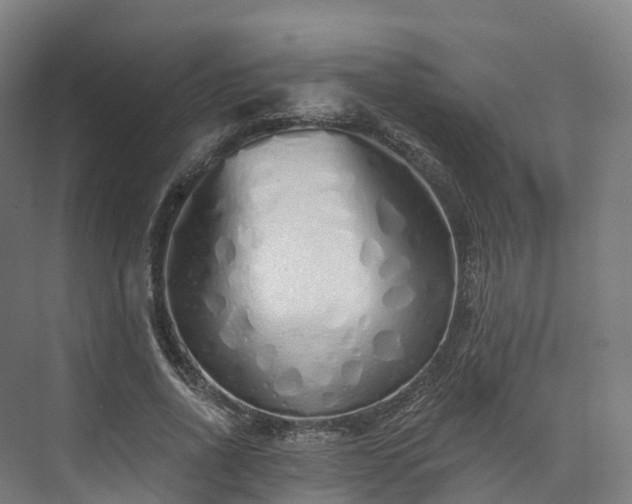 X0000073850734200608171032