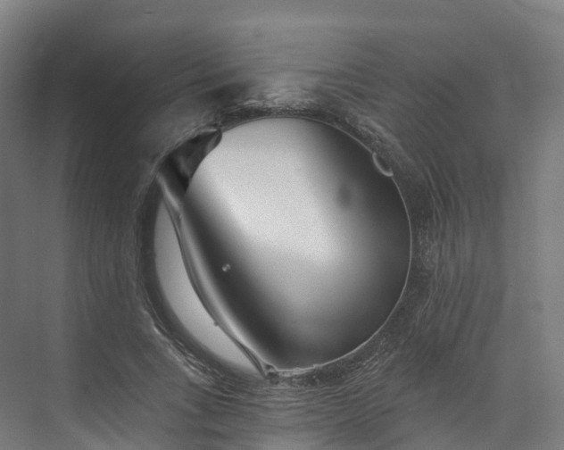 X0000073850735200608171032