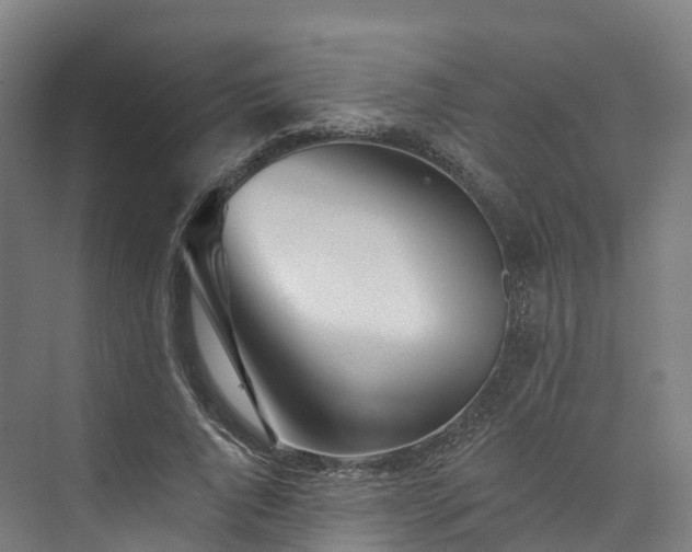 X0000073850736200608171032