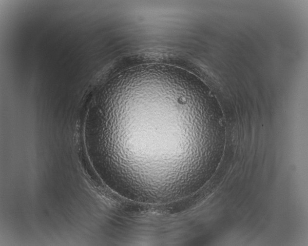 X0000073850737200608171032