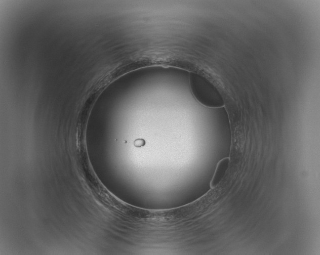 X0000073850740200608171032