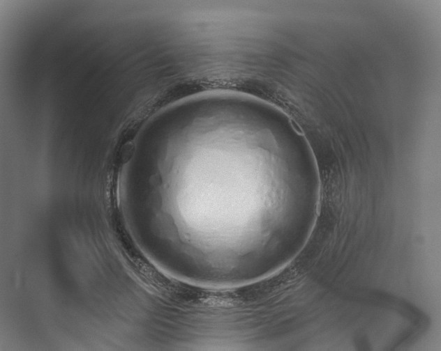 X0000073850742200608171032