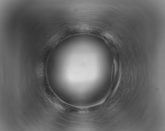 X0000073850744200608171032