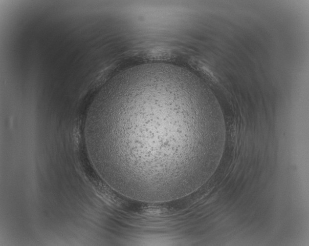 X0000073850746200608171032