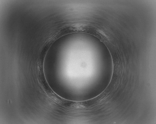 X0000073850747200608171032