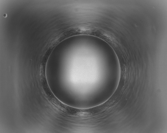 X0000073850748200608171032