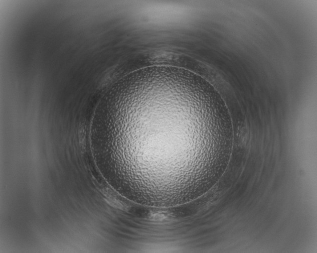 X0000073850753200608171032