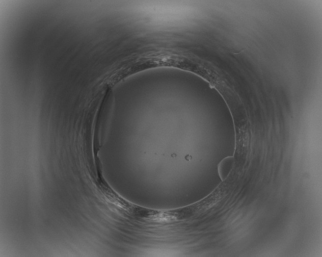 X0000073850754200608171032