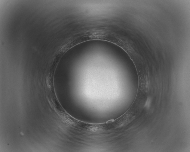 X0000073850755200608171032