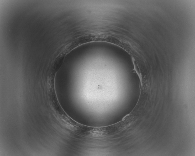 X0000073850756200608171032