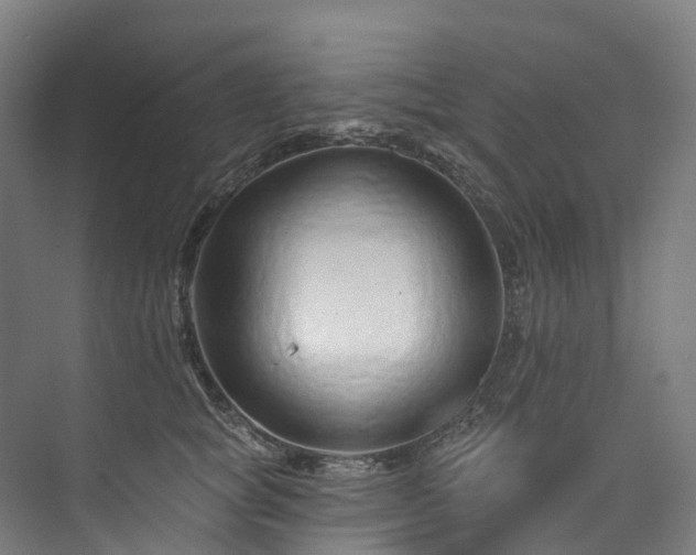 X0000073850757200608171032