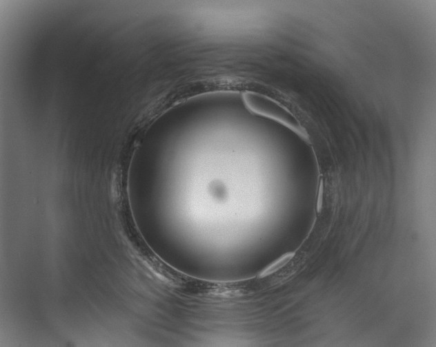 X0000073850760200608171032