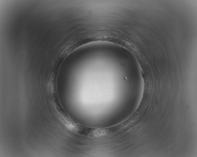 X0000073850762200608171032