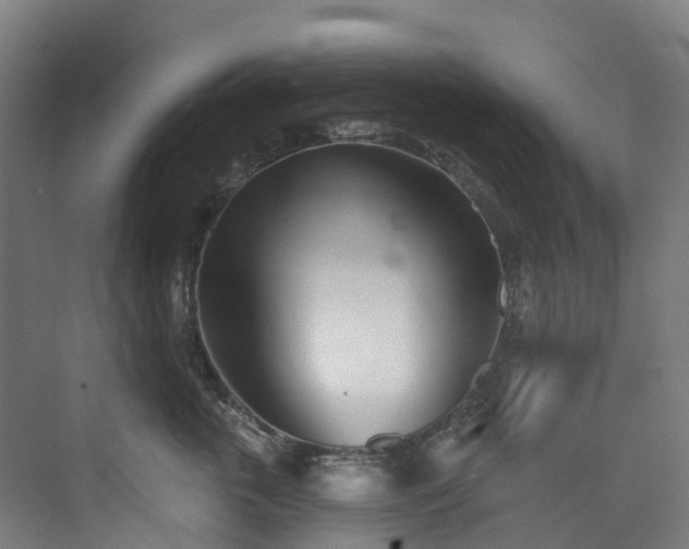 X0000073850763200608171032