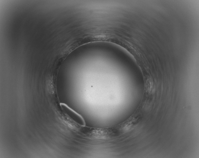 X0000073850764200608171032