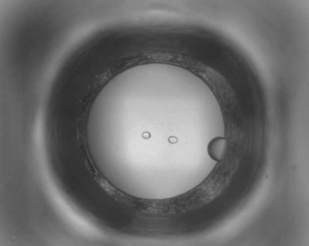 X0000073850765200608171033