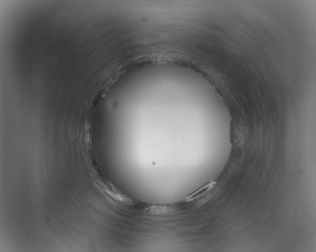 X0000073850766200608171033