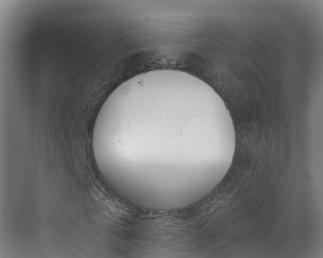 X0000073850769200608171032