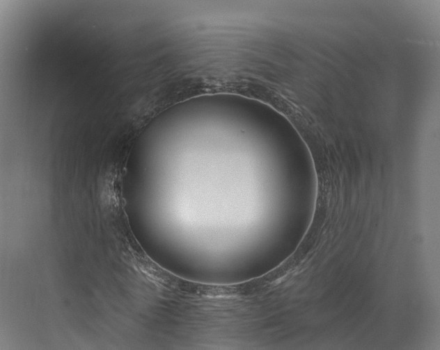 X0000073850770200608171032