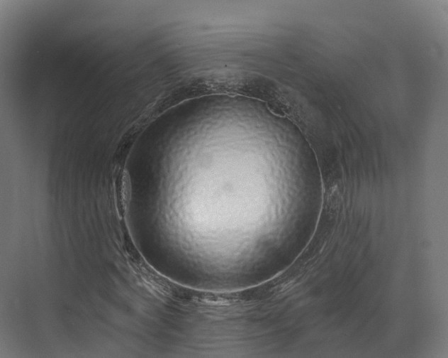 X0000073850772200608171032