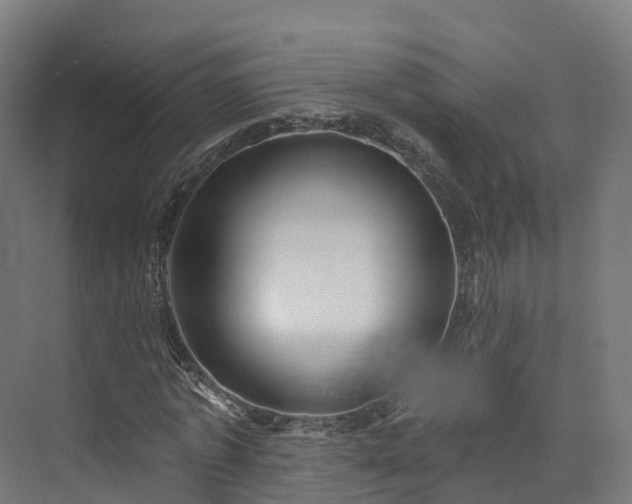 X0000073850773200608171032