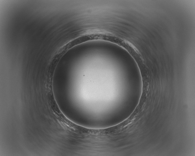 X0000073850775200608171032