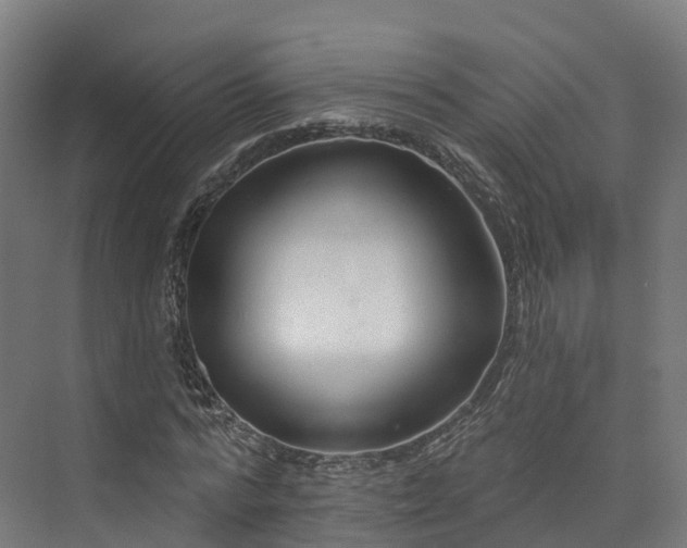 X0000073850776200608171032