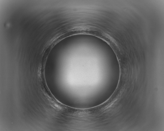 X0000073850778200608171032