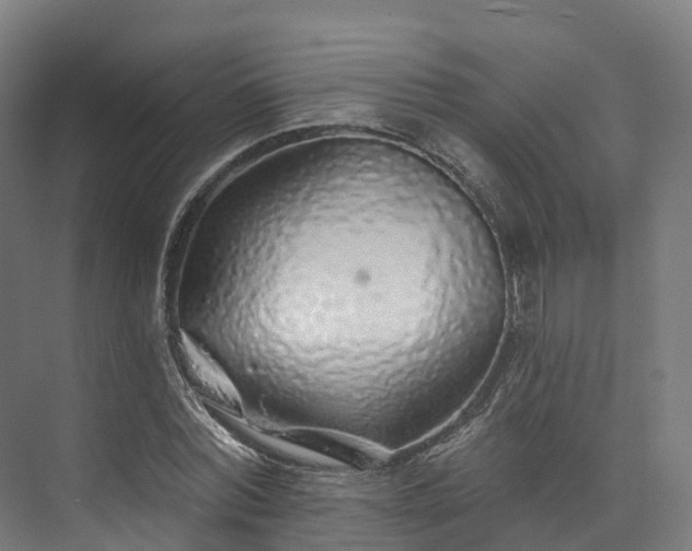 X0000073850780200608171032