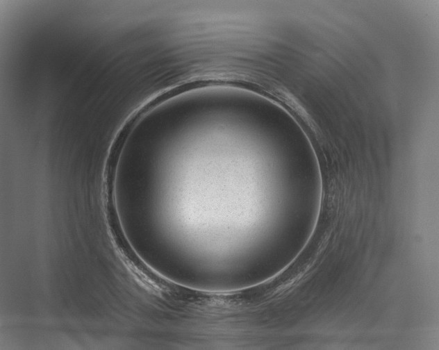 X0000073850787200608171031