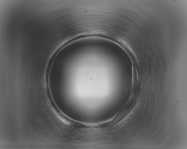 X0000073850789200608171031