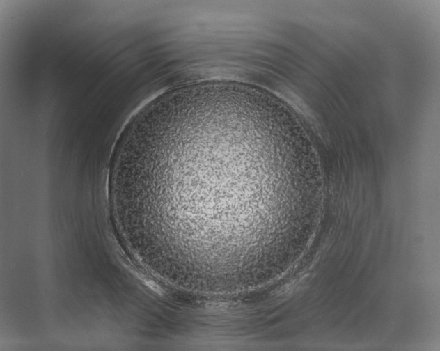 X0000073850790200608171031