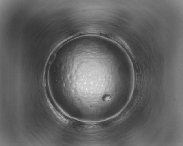 X0000073850795200608171031