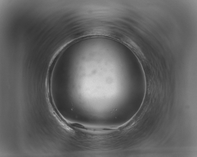 X0000073850796200608171031