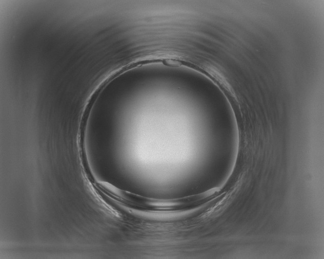 X0000073850797200608171031