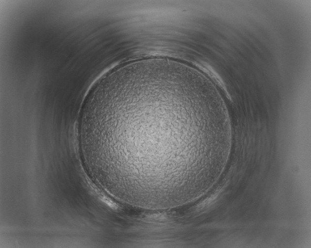 X0000073850798200608171031