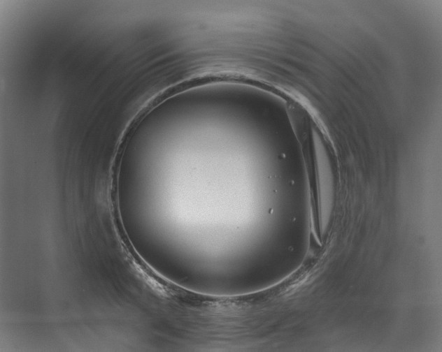 X0000073850799200608171031