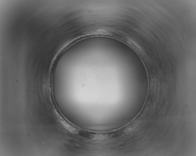 X0000073850800200608171031